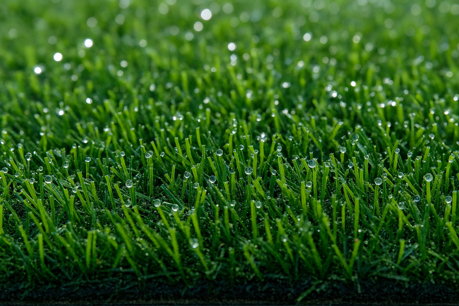 Jardín residencial con césped sintético y paisajismo